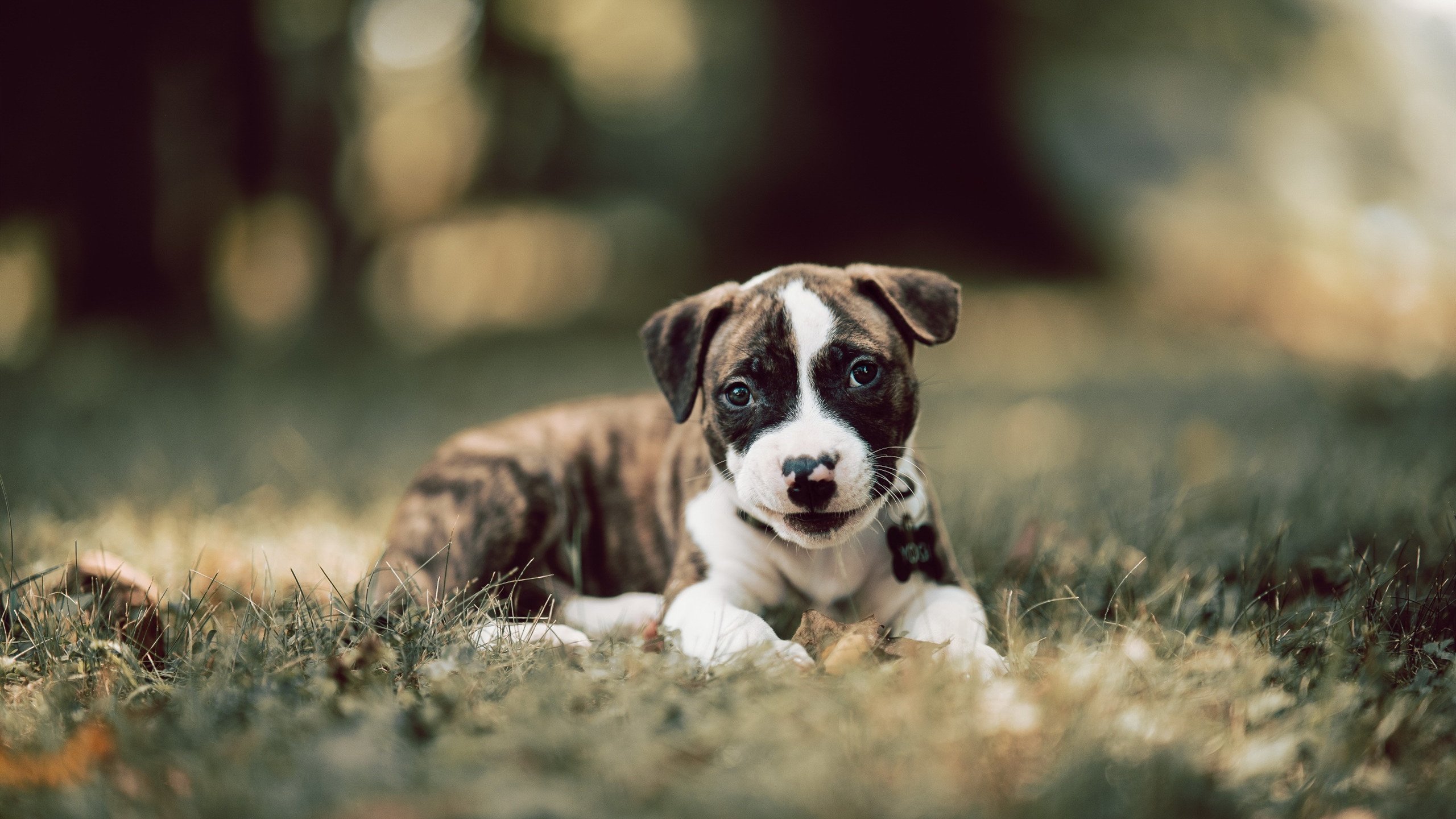 摩洛哥队在巴黎奥运会男足比赛中展现出强大的个人突破能力，摩洛哥足球俱乐部