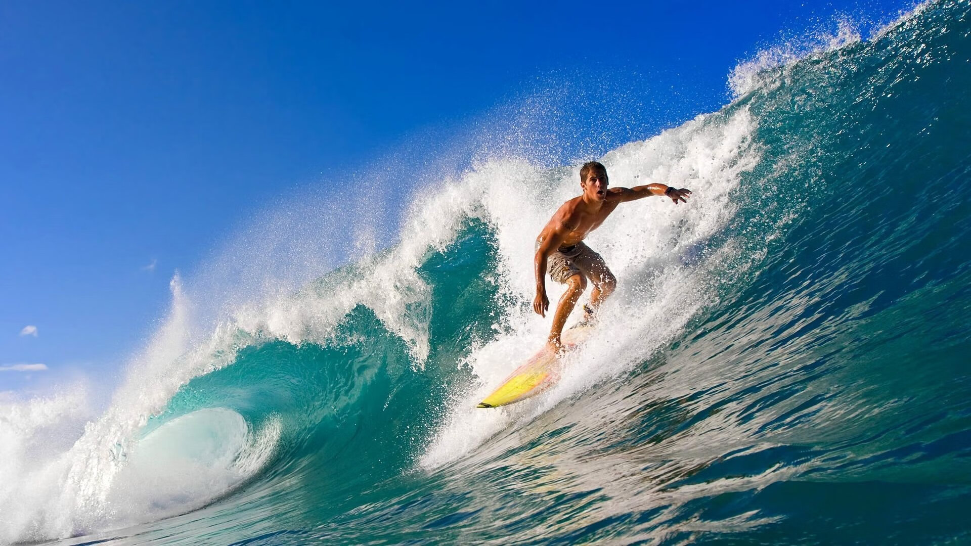 自由泳接力韩国队逆转取胜,韩国 自由泳