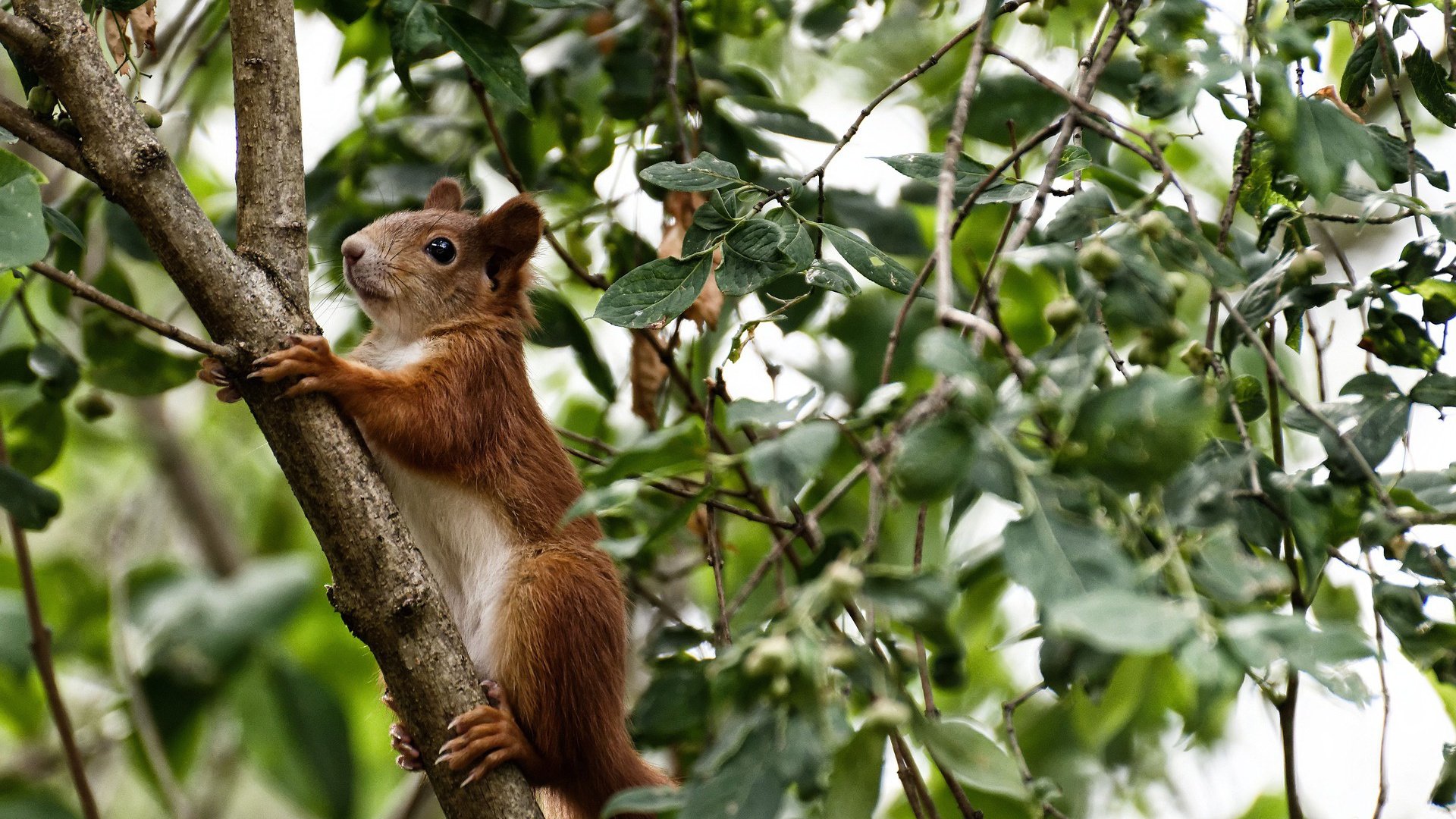 开云LOL-_魔术逆转佳绩，士气大爆发_，魔术师逆