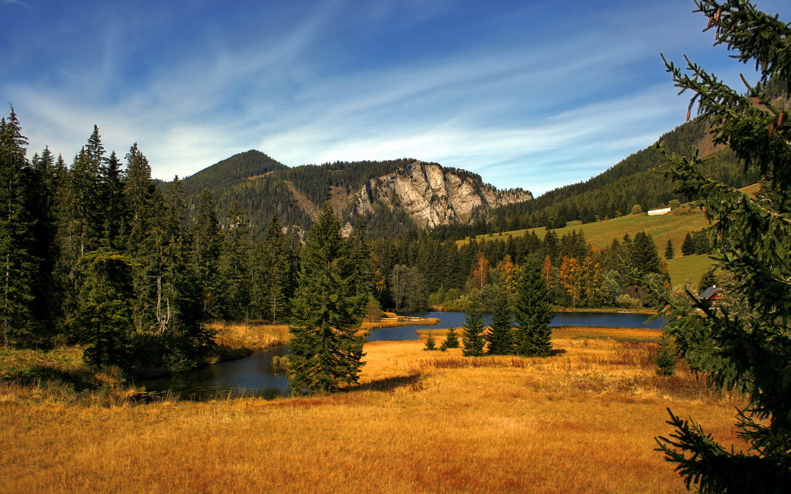 开云官方网页登录-中国足球代表团访问欧洲，学习先进经验，中国足球访谈