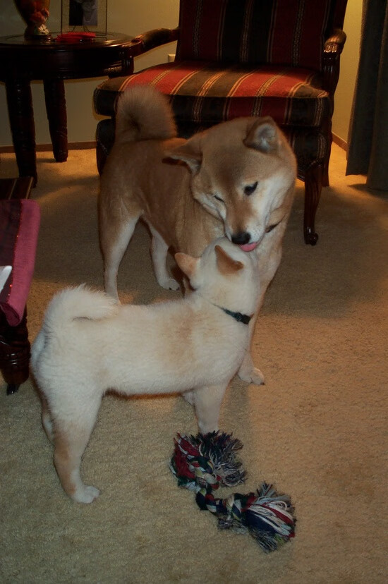 开云网页版登录入口-乌拉圭男足在巴黎奥运会比赛中以3-2战胜德国，乌拉圭男足排名